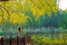 杭州德州扑克筹码-杭州德州扑克筹码，一种文化与竞技的交融